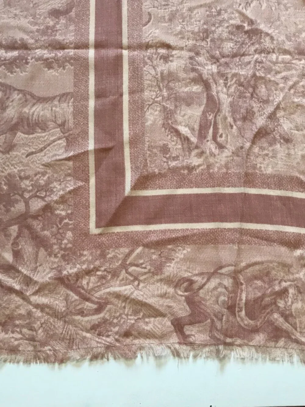 Christian Dior Rose des Vents Toile de Jouy Sauvage Shawl Scarf Wrap Wool Silk